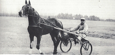 Travsport i Danmark for 50 år siden (13)