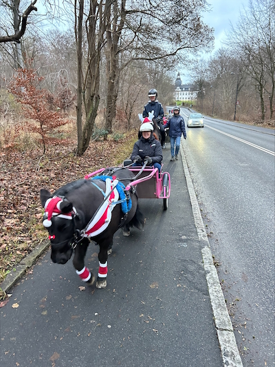 Julehygge i Lundens Travskole