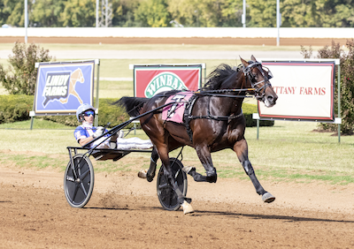 Masiol-stalden satser på Hambletonianvindere