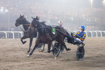 V75: Dansk dobbelt sejr