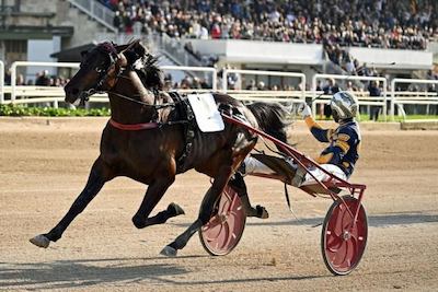 Lotteria-vinder skifter træner – igen