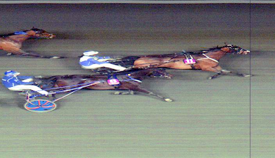 Fredag Haps – lørdag Gold Ripasso