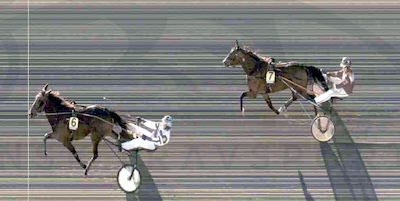 Årets første dansktrænede vinder