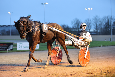 Odense- fredag: Se programsiderne