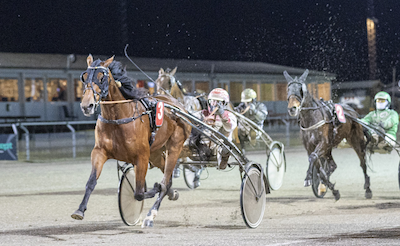 James Cook dyrest på Nytårsauktionen
