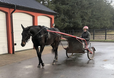 Anne skriver: Historien om Stald Saltum