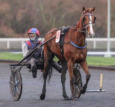 Prix d’Amerique-hest skal opereres