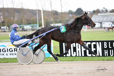 Endnu en hest til Mariann!