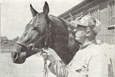 Da en dansk hest vandt Prix d’Amerique – eller gjorde den nu også det?