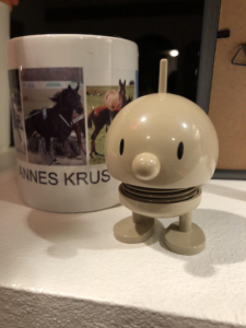 Anne skriver: Om en søndag i Aalborg!