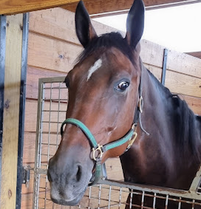 Ingen ville købe Epos Østervang