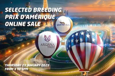 Selected Breeding Prix d’Amerique Online Sale: Ingen købelyst