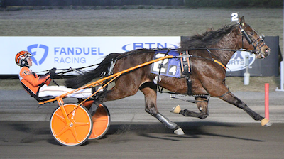Danskejede Furst Igor nummer tre på The Meadowlands