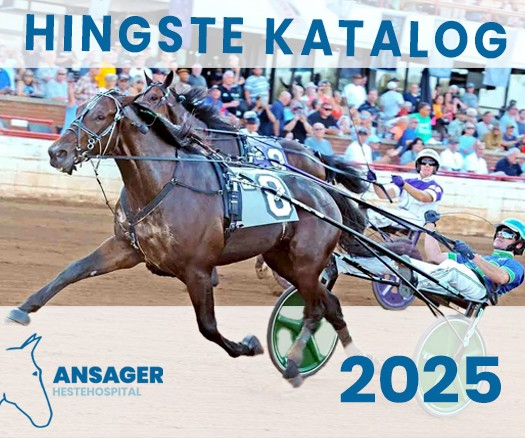 Fire nye hingste hos Peter Fog, Ansager