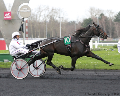 King Knas broder til Henrik Lønborg