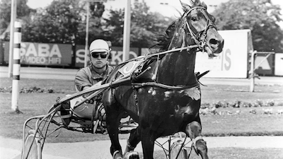 41 år efter Ejnar Vogt
