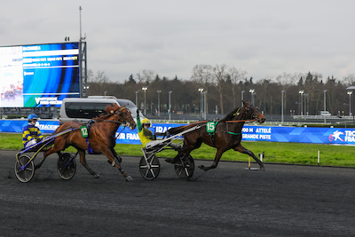 Bedækninger på auktion