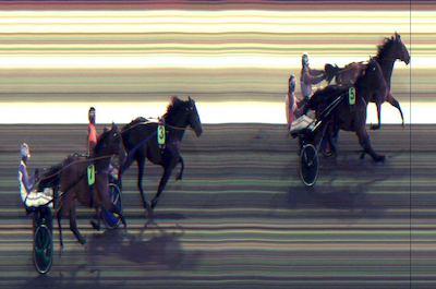 Danske halvbrødre i samme løb