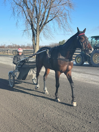 USA: Hidtil bedste placering