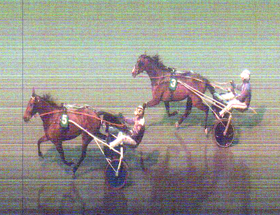 Bergen: Fin aften for danske travere