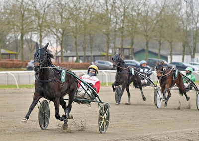 Sejrshest aflivet efter uheld