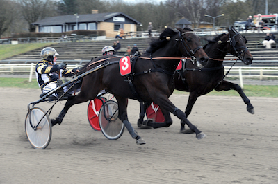 Fine gevinster i V4 og V5 i Aarhus