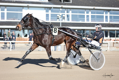 V4-Aalborg: Kurt sørgede for en gevinst på 19.031 kroner