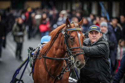 Det er ikke altid Ready Cash i franske storløb
