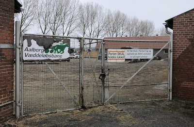 Anne skriver: En løbsdag i Aalborg