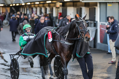 Kan svenske Working Class Hero overraske igen?