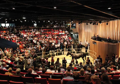 Dato fastsat for Select European Yearling Sale i Deauville