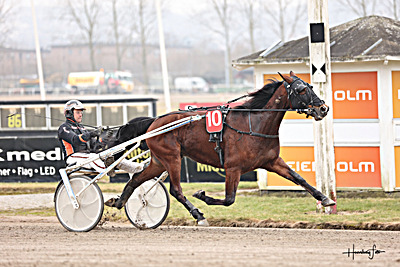 Bet25 Sport: Få 5.25 i Fast Odds i 5. løb