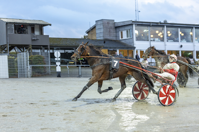 Ny i stalden hos Michael Lønborg
