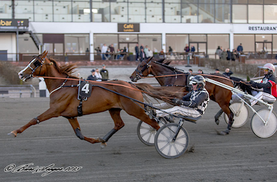 Noter fra Lunden 7. marts 2024