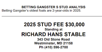 Svensk hingst er USA’s tredjedyreste avlshingst!