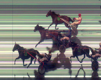 12 års dansk hoppe i comeback efter 2.5 års pause