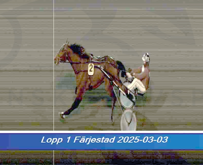 Fin start på karrieren for Bigtime Vixi