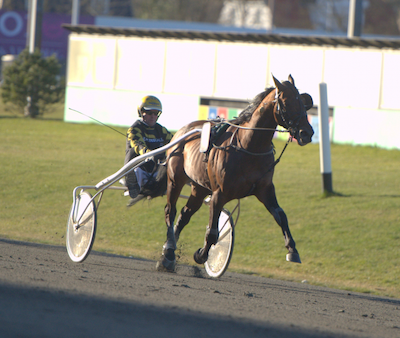 V75: Emoji med ny kusk i Gulddivisionen