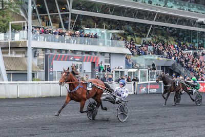 Nu kommer stjernerne ud!