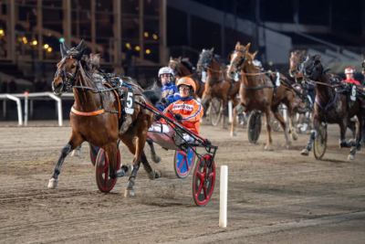 Ingen problemer for Ideal Stone