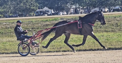 Jean Pierre Dubois på besøg hos Rene Sejthen