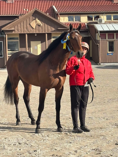 Jigger skal bedække klassisk vinder