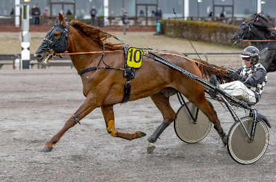 Lunden: Axel Jacobsen i fokus