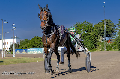 Mange initiativer på Lunden