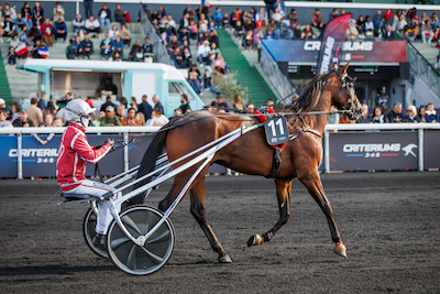 Over 8 millioner kroner i præmier på Vintermeetingets sidste dag