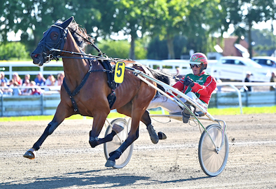Fem ud af syv solgt på travauktioner.dk