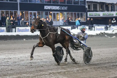 Lørdag byder på millionchancer i V75 – og dansk V65 fra Skive