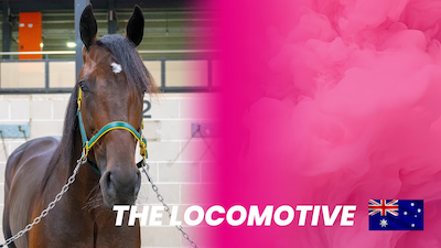 Elitloppet: Australske The Locomotive med pacerafstamning inviteret