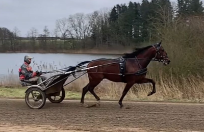 Thinker Monkey til Flemming Jensen