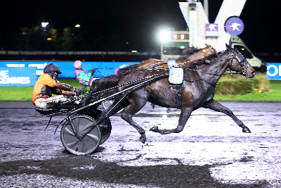 Bondos sejrshest vandt igen